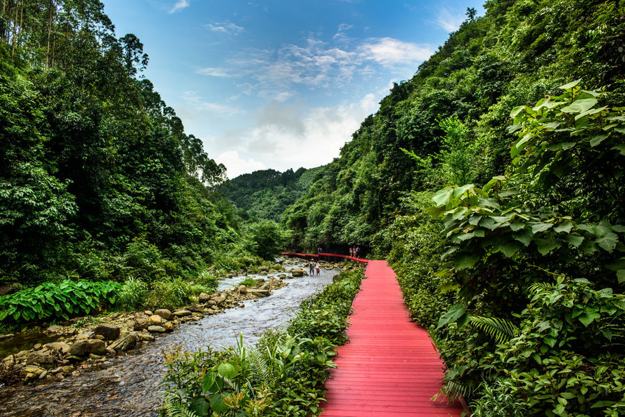 別致的塑木棧道，別致的風(fēng)景